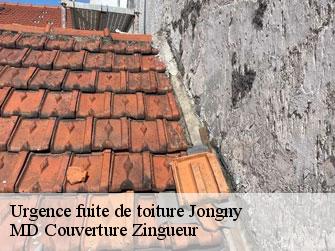 Urgence fuite de toiture