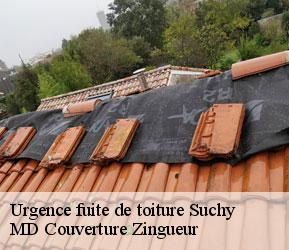 Urgence fuite de toiture suchy-1433 MD Couverture Zingueur