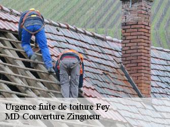 Urgence fuite de toiture  1996