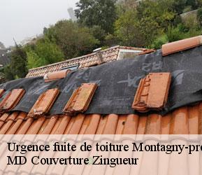Urgence fuite de toiture  montagny-pres-yverdon-1442 MD Couverture Zingueur