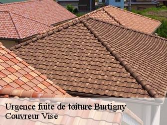 Urgence fuite de toiture