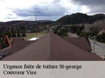 Urgence fuite de toiture  st-george-1188 Couvreur Vise