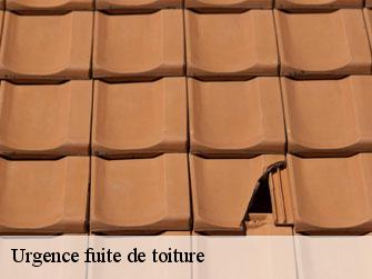 Urgence fuite de toiture
