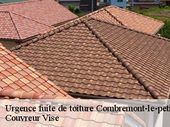 Urgence fuite de toiture