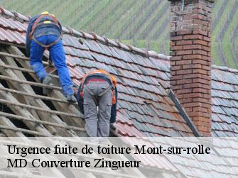 Urgence fuite de toiture  1185