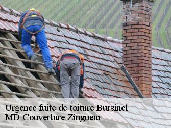 Urgence fuite de toiture 1195