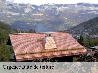 Urgence fuite de toiture