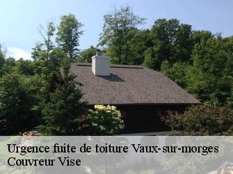 Urgence fuite de toiture 1126