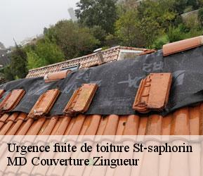 Urgence fuite de toiture  st-saphorin-1071 MD Couverture Zingueur