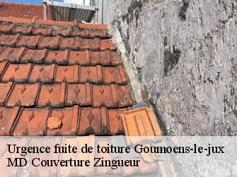 Urgence fuite de toiture